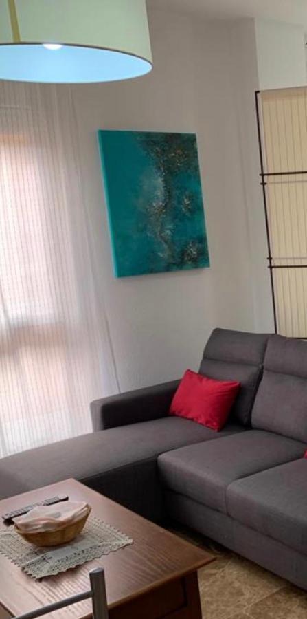 Apartamento Con Encanto Y Parking Privado Y Gratuito กรานาดา ภายนอก รูปภาพ